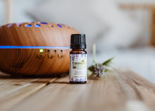 Pure Essential Oil Blend of 'Lavender'