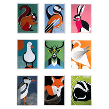 Little box of Irish Wildlife