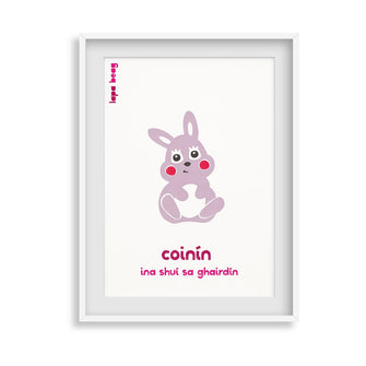 Coinín - Rabbit