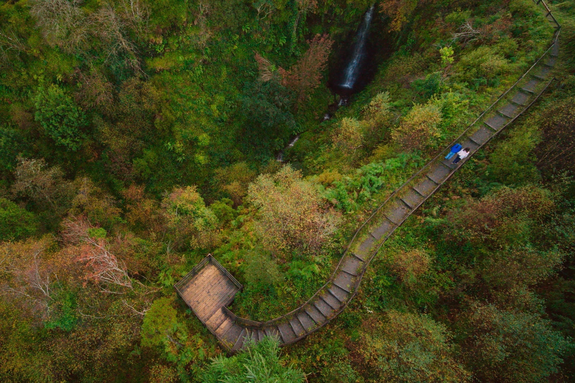 Summer Walks Around Leitrim!