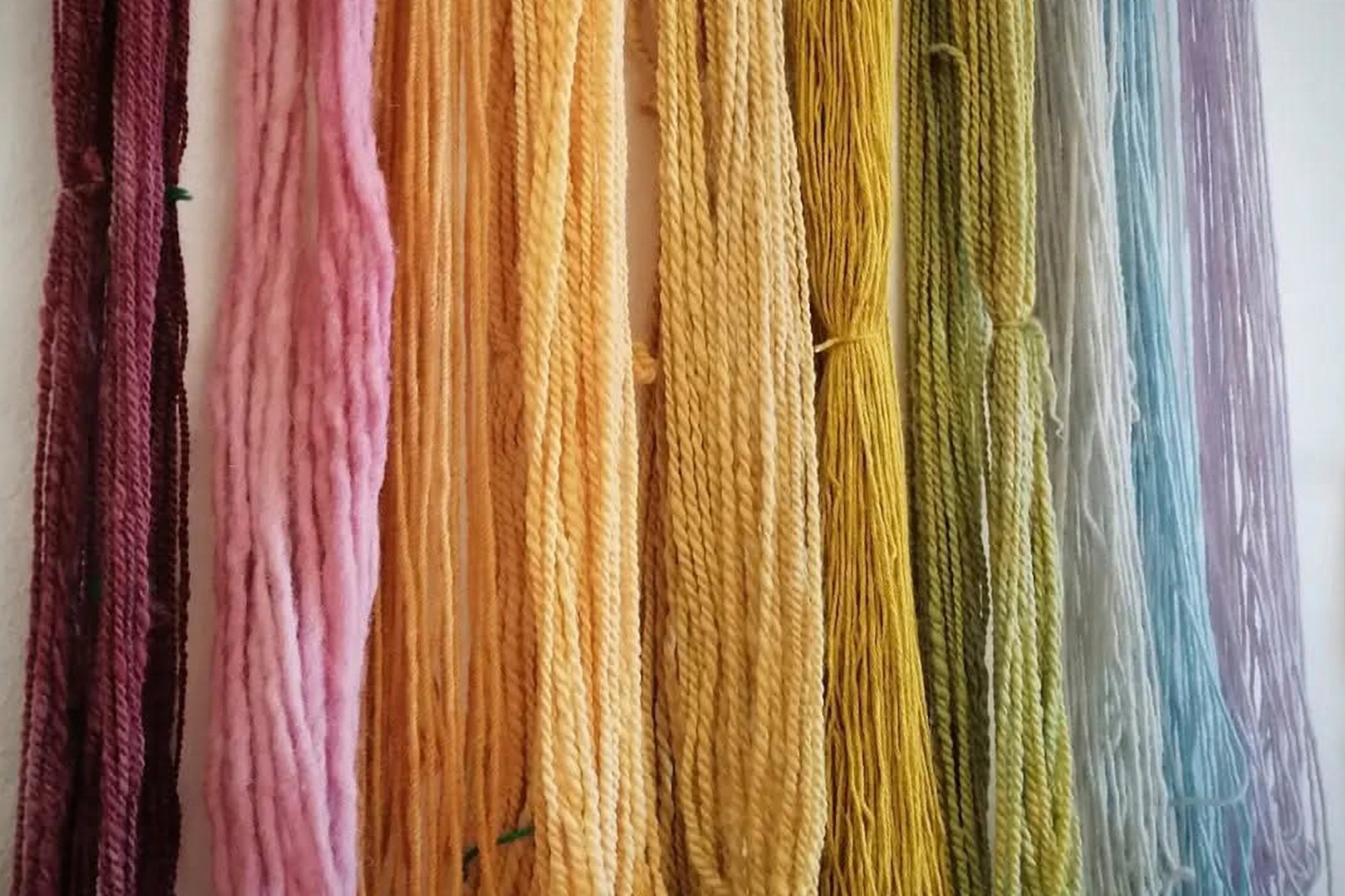 Summer Workshop Series