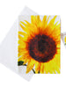 Sunflower Tea Towel