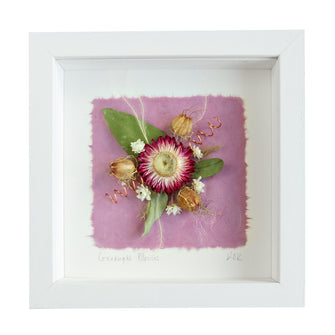 Connaught Blooms